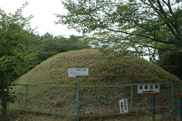 岡峯古墳の様子