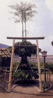 新住八幡神社の写真1