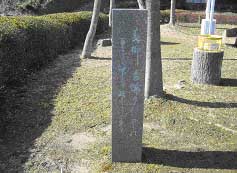 春柳葛城山にたつ雲の 立ちても坐ても妹をしぞ思う