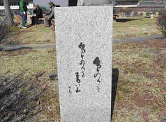 分け入りても 分け入りても 青い山