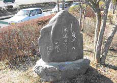 幾千の 木漏日いだき山眠る