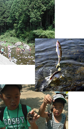 キャンプ・川釣り・かぶと虫の森の様子